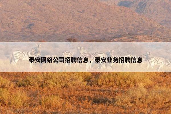 泰安网络公司招聘信息，泰安业务招聘信息