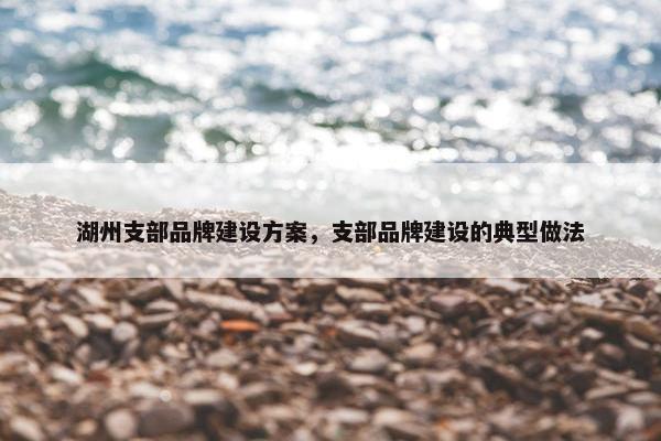 湖州支部品牌建设方案，支部品牌建设的典型做法