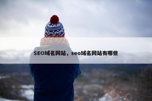 SEO域名网站，seo域名网站有哪些