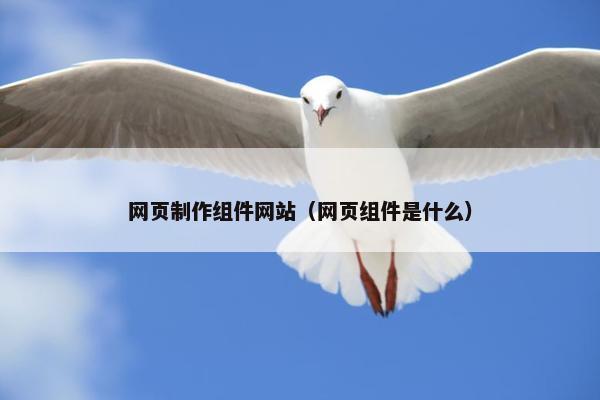 网页制作组件网站（网页组件是什么）