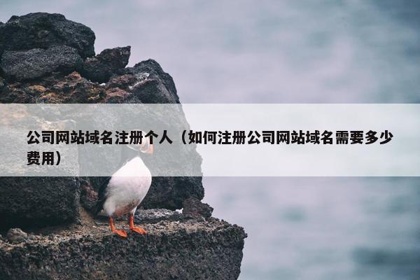 公司网站域名注册个人（如何注册公司网站域名需要多少费用）