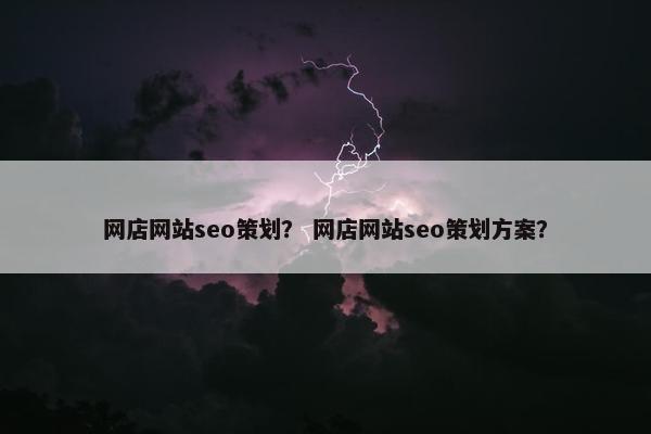 网店网站seo策划？ 网店网站seo策划方案？