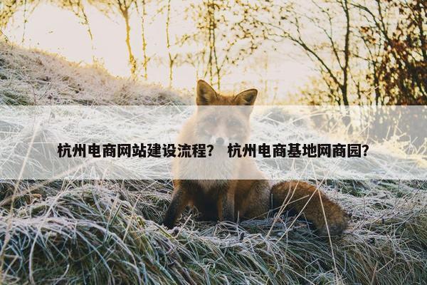 杭州电商网站建设流程？ 杭州电商基地网商园？