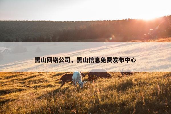 黑山网络公司，黑山信息免费发布中心