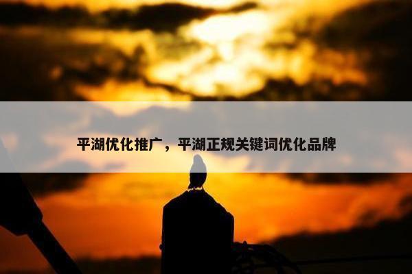 平湖优化推广，平湖正规关键词优化品牌