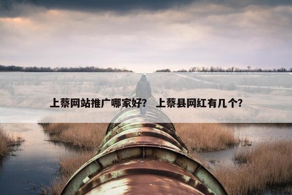 上蔡网站推广哪家好？ 上蔡县网红有几个？