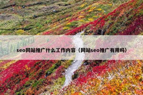 seo网站推广什么工作内容（网站seo推广有用吗）