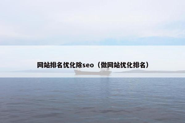 网站排名优化除seo（做网站优化排名）
