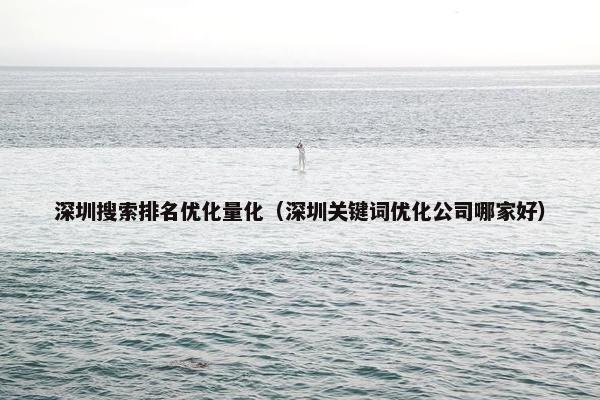 深圳搜索排名优化量化（深圳关键词优化公司哪家好）