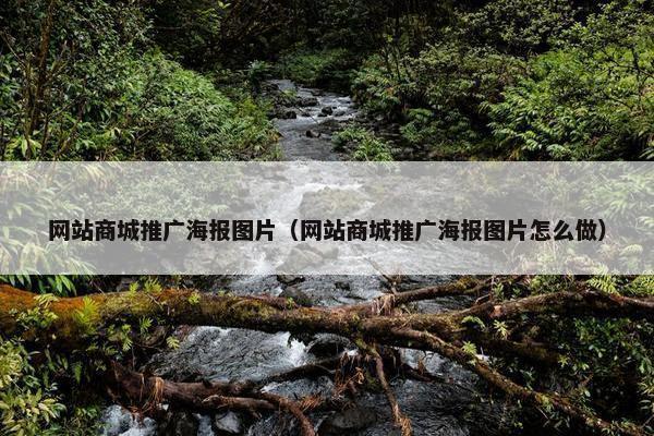 网站商城推广海报图片（网站商城推广海报图片怎么做）