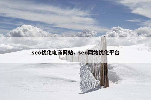 seo优化电商网站，seo网站优化平台