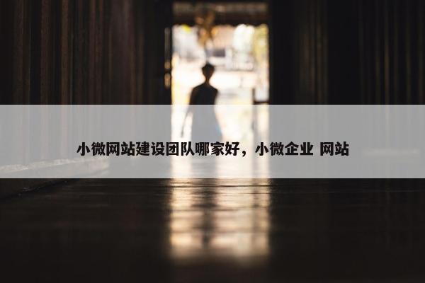 小微网站建设团队哪家好，小微企业 网站