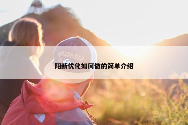 阳新优化如何做的简单介绍
