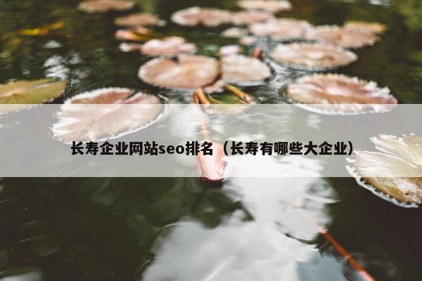 长寿企业网站seo排名（长寿有哪些大企业）