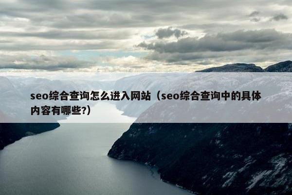 seo综合查询怎么进入网站（seo综合查询中的具体内容有哪些?）