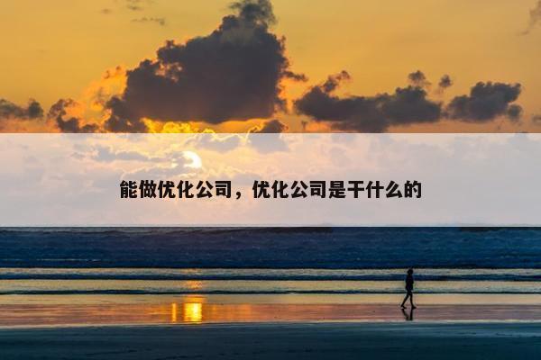 能做优化公司，优化公司是干什么的