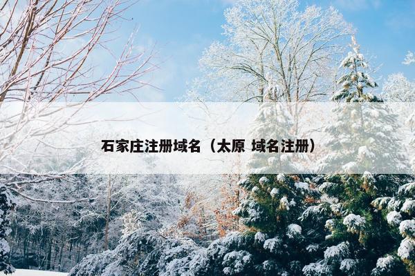 石家庄注册域名（太原 域名注册）