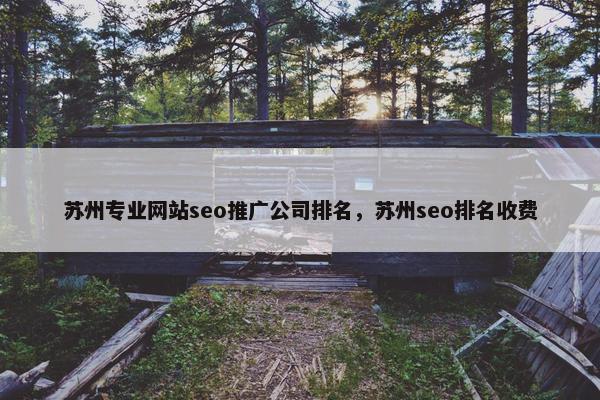 苏州专业网站seo推广公司排名，苏州seo排名收费