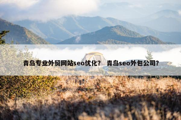 青岛专业外贸网站seo优化？ 青岛seo外包公司？