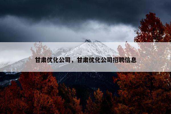甘肃优化公司，甘肃优化公司招聘信息