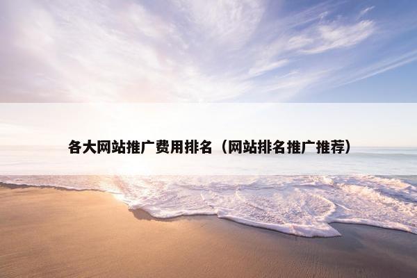 各大网站推广费用排名（网站排名推广推荐）