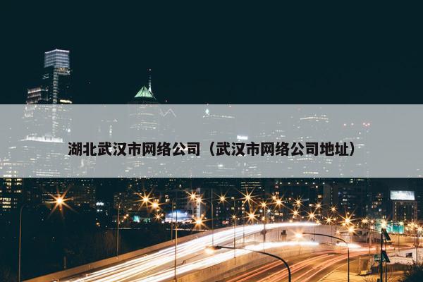 湖北武汉市网络公司（武汉市网络公司地址）