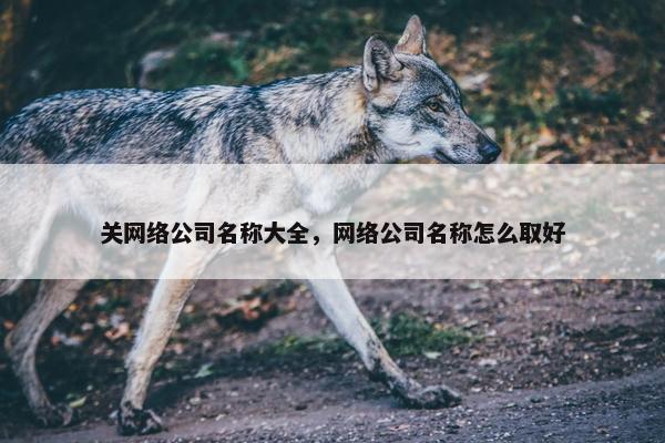 关网络公司名称大全，网络公司名称怎么取好