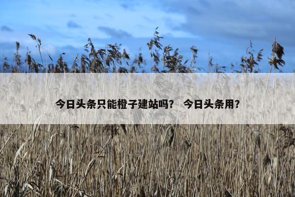 今日头条只能橙子建站吗？ 今日头条用？