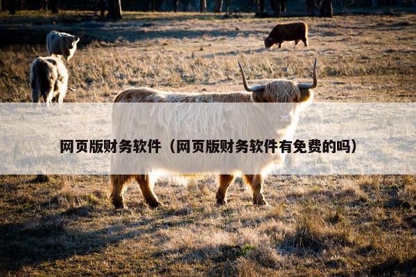 网页版财务软件（网页版财务软件有免费的吗）