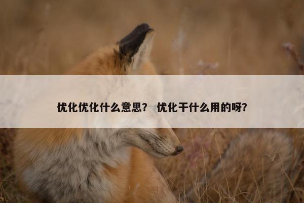优化优化什么意思？ 优化干什么用的呀？