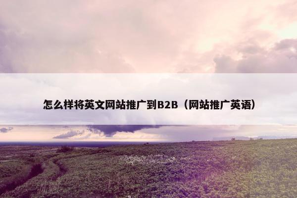 怎么样将英文网站推广到B2B（网站推广英语）