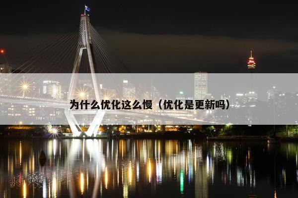 为什么优化这么慢（优化是更新吗）
