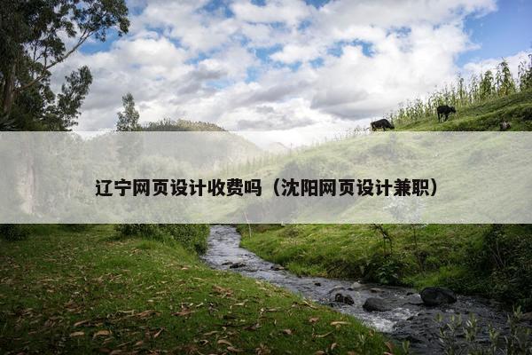 辽宁网页设计收费吗（沈阳网页设计兼职）