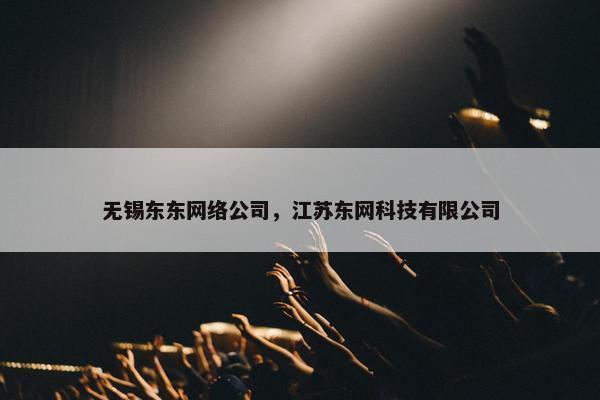 无锡东东网络公司，江苏东网科技有限公司