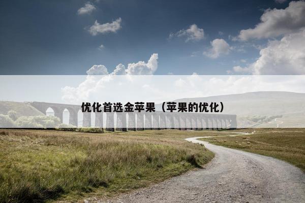 优化首选金苹果（苹果的优化）