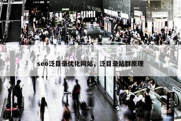 seo泛目录优化网站，泛目录站群原理