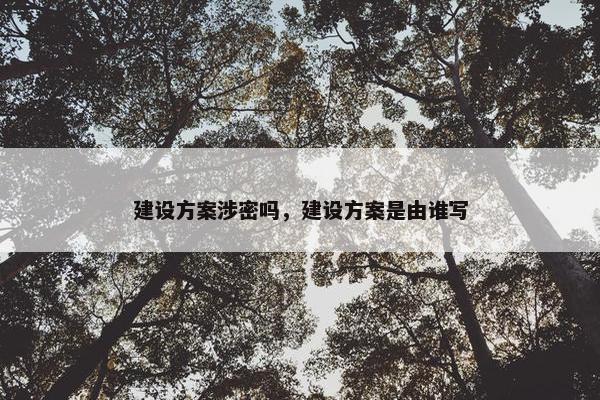 建设方案涉密吗，建设方案是由谁写