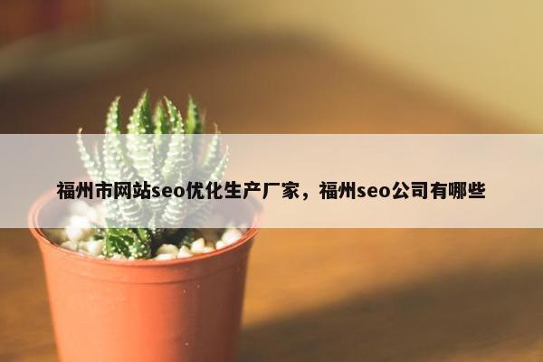 福州市网站seo优化生产厂家，福州seo公司有哪些