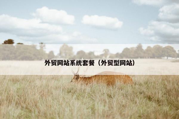 外贸网站系统套餐（外贸型网站）