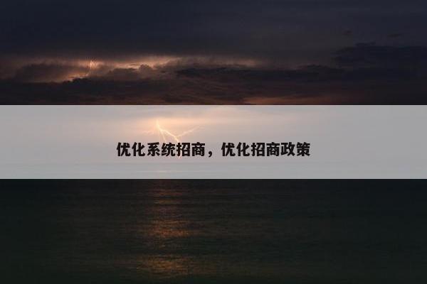 优化系统招商，优化招商政策