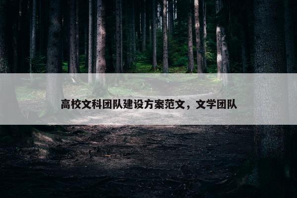 高校文科团队建设方案范文，文学团队