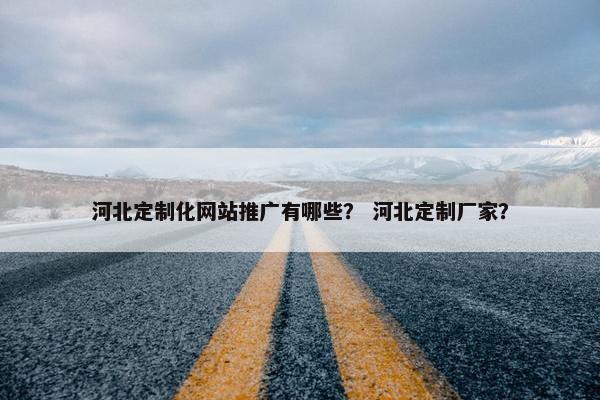 河北定制化网站推广有哪些？ 河北定制厂家？