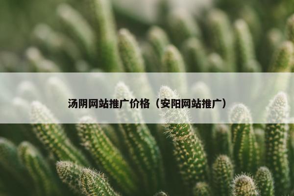 汤阴网站推广价格（安阳网站推广）