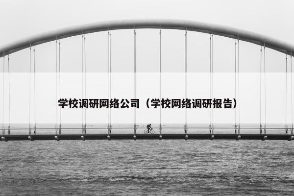 学校调研网络公司（学校网络调研报告）