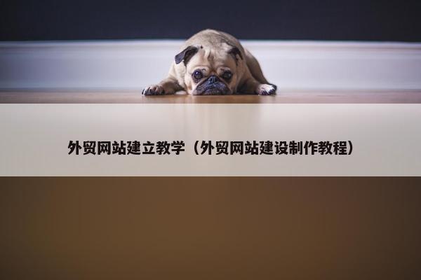 外贸网站建立教学（外贸网站建设制作教程）