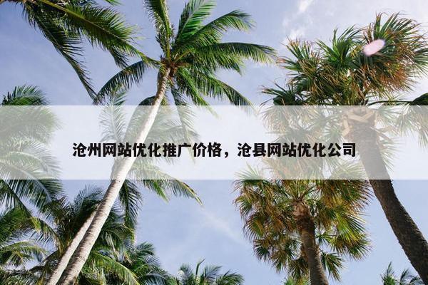 沧州网站优化推广价格，沧县网站优化公司