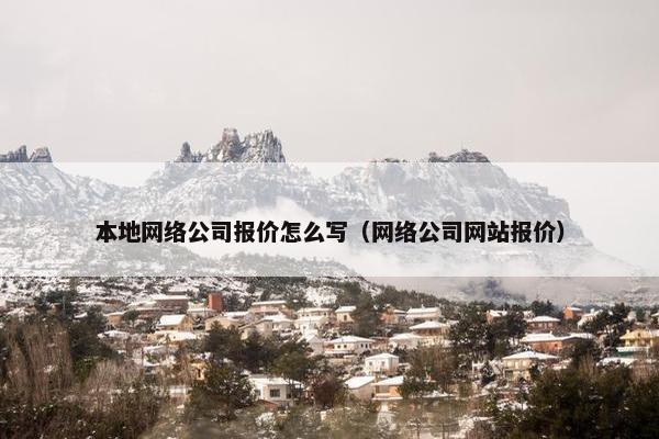 本地网络公司报价怎么写（网络公司网站报价）
