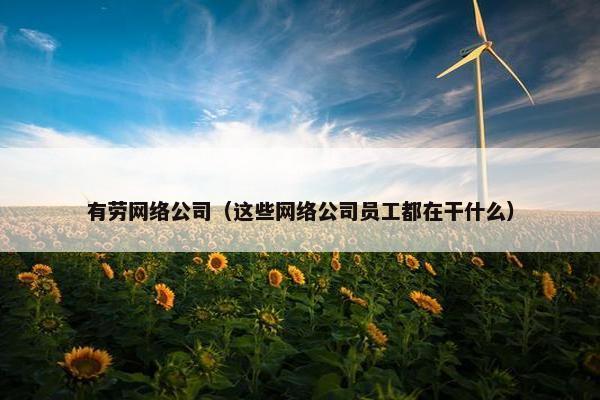 有劳网络公司（这些网络公司员工都在干什么）