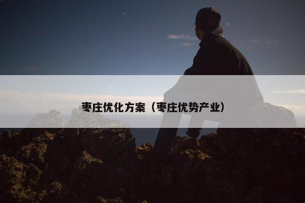 枣庄优化方案（枣庄优势产业）