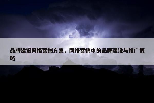品牌建设网络营销方案，网络营销中的品牌建设与推广策略